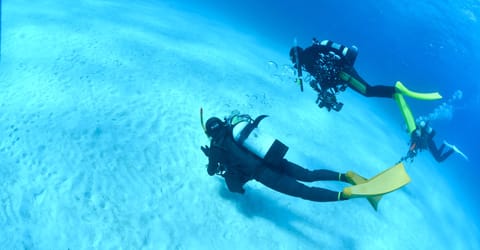 ダイバーへの入口Cカード取得コース